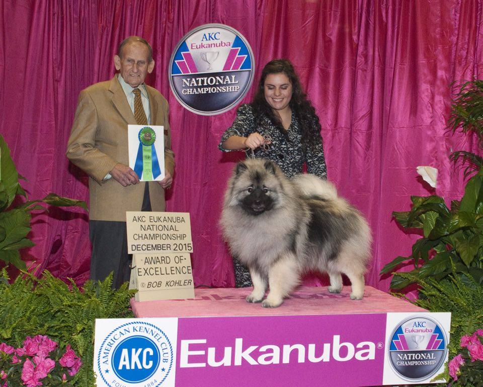 Gambler Award of Excellence at Eukanuba